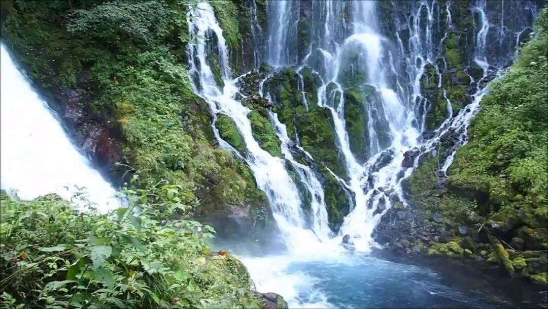 逃离荒废丛林屋